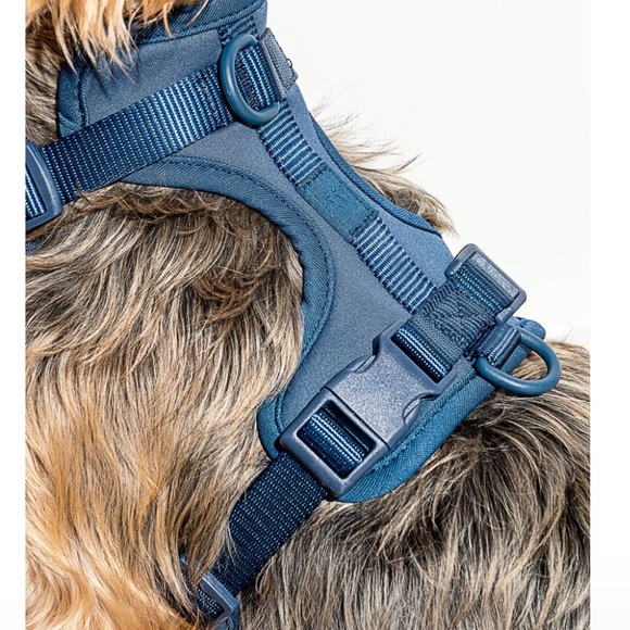 Wild one harness size Medium Brand New